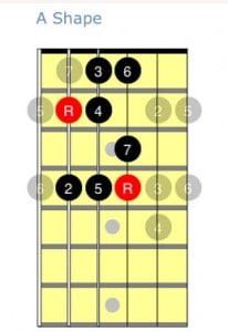 A shape scale