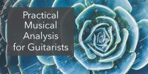learn guitar music analysis