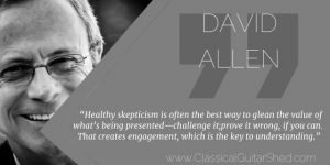 David Allen Healthy Skepticism Guitar