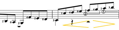 dynamic possiblities