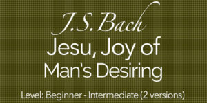 jesu bach classical guitar