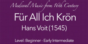 fur all ich kron hans voit guitar