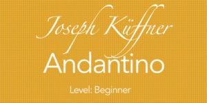 andantino guitar course