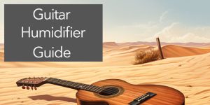 guitar humidifier