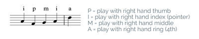 PIMA guitar