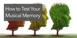 musical memory test guitar