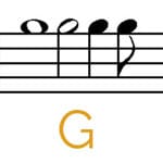 nsg2
