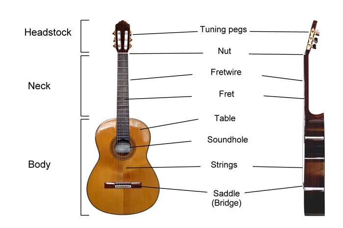 parts of the guitar