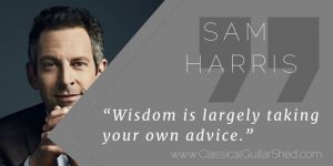 Sam Harris guitar practice