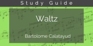 waltz calatayud guitar study guide