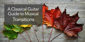 musical transitions phrasing expression guitar