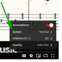 adjust youtube speed